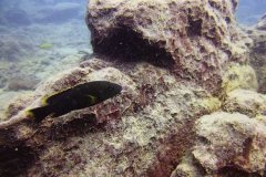Ababi Island/Mbenji Island