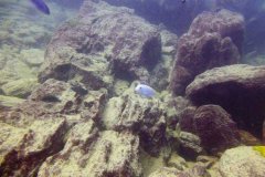 Ababi Island/Mbenji Island