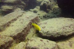Ababi Island/Mbenji Island
