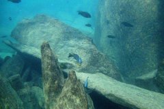 Ababi Island/Mbenji Island