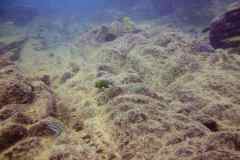 Ababi Island/Mbenji Island
