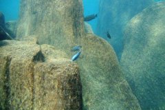 Ababi Island/Mbenji Island