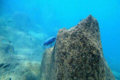 Ababi Island/Mbenji Island