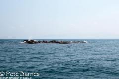 Boadzulu Island