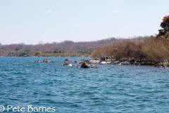 Border - Malawi/Mozambique