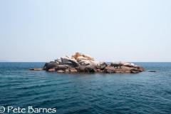 Chinyamwezi Island 