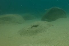 Likoma Island vom Chiponde Beach aus erkunden in die Buntbarsch-Welten.