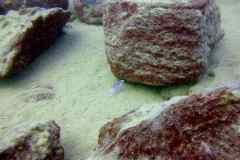 Chizumulu Island