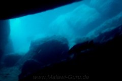 Domwe Island