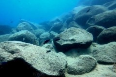 Hongi Island/Mbamba Island