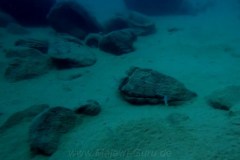 Hongi Island/Mbamba Island