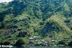 Kakusa