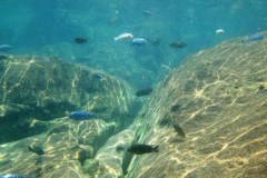 Kawanga Rocks