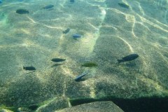 Kawanga Rocks
