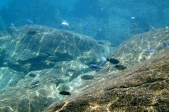 Kawanga Rocks