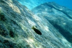 Kawanga Rocks