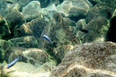 Kawanga Rocks