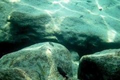 Kawanga Rocks