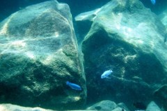 Kawanga Rocks