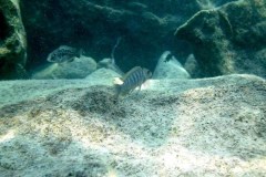 Kawanga Rocks