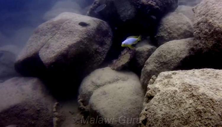 Felszone-Mbamba-Islands-Likoma-600
