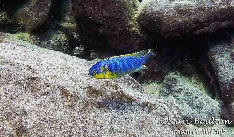 Mara-Rocks-1008
