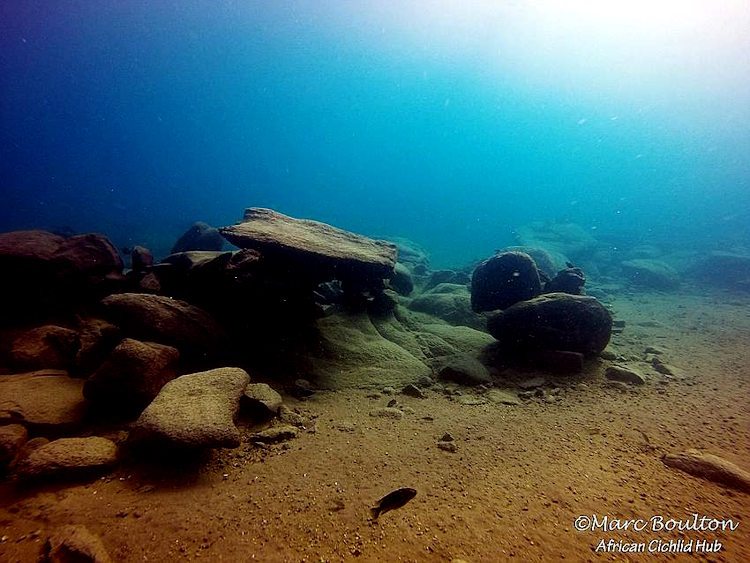 Mara-Rocks-1003