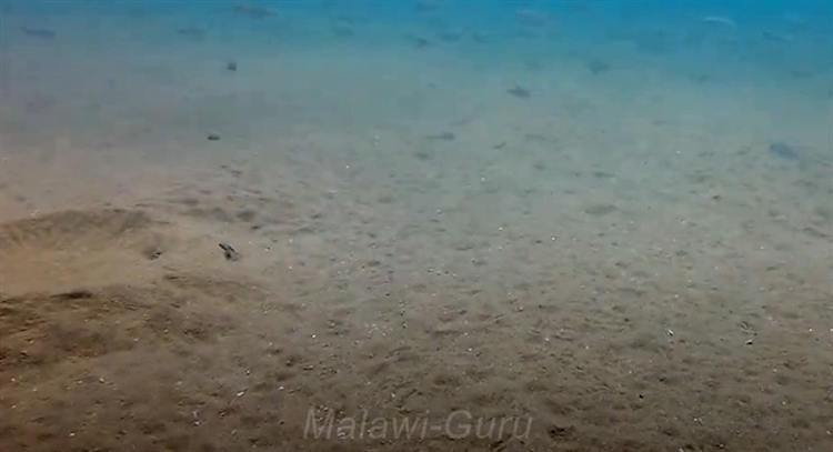 Sandzone-Tchinga-Reef-1