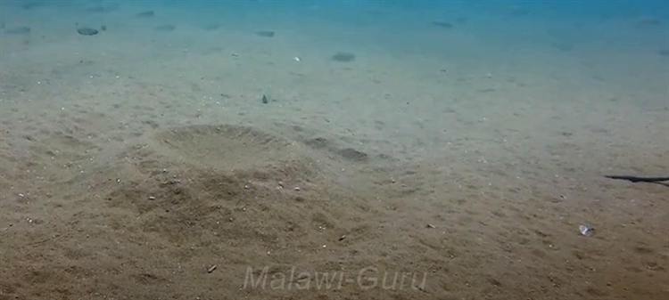 Sandzone-Tchinga-Reef-2