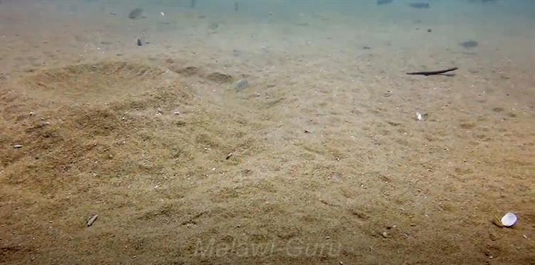 Sandzone-Tchinga-Reef-3