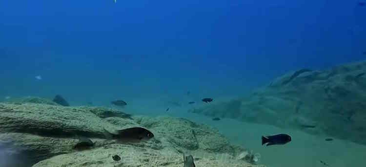 Tchinga-Reef-214-1