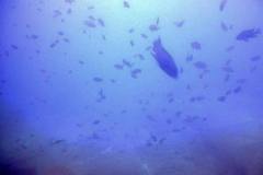 Linganjala Reef
