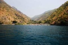Lions Cove