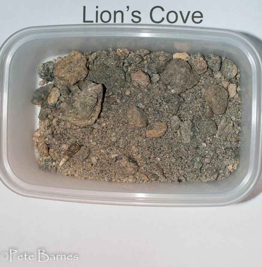 Lions-Cove-3