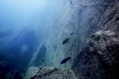 Luwala Reef
