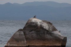 Maingano Island