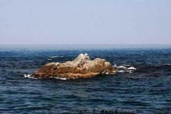 Mara Rocks