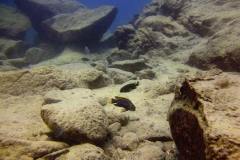 Masimbwe Island