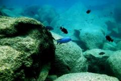 Masimbwe Island