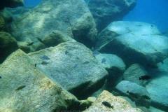Masimbwe Island