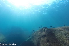 Masimbwe Island