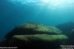 Masimbwe Island