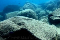 Mbamba Island