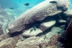 Mbenji Island/Ababi Island