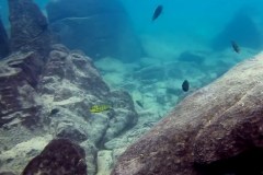 Mbenji Island/Ababi Island