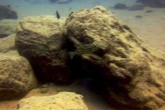 Mbowe Island