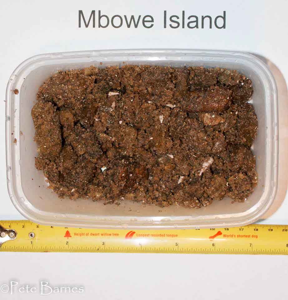 Mbowe-Island-Boden-3