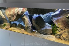 700-Liter-Mbuna-Felszone-81