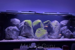 Max-Aquarium-440-Liter-1