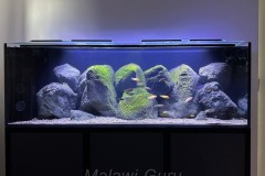 Max-Aquarium-440-Liter-4